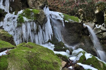Natural stream surrounded by lush greenery with icicles hanging from the mossy rocks