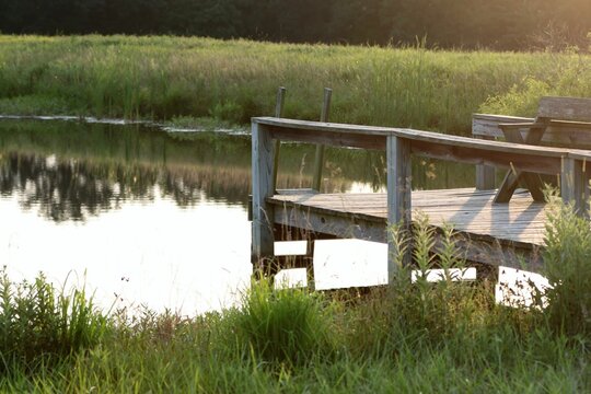 Tranquil scene of a peaceful lake captured at the edge of a wooden boardwalk