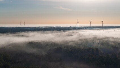 Aerial view of the misty morning woodland landscape with the group of modern tall wind turbines