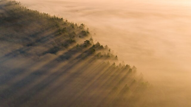 View over golden sunrise light fog-clad peatland and drumlins post-glacial wilderness landscape
