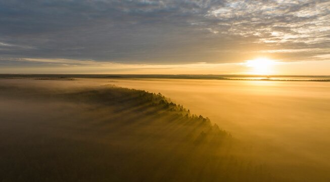 View over golden sunrise light fog-clad peatland and drumlins post-glacial wilderness landscape