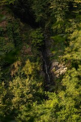 Peaceful scene of mountainous terrain featuring lush green grass and rocky outcrops in Georgia