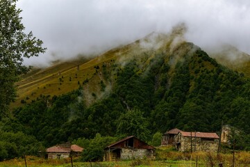 Peaceful scene of mountainous terrain featuring lush green grass and rocky outcrops in Georgia