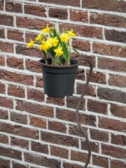 a small potted plant with yellow flowers attached to it