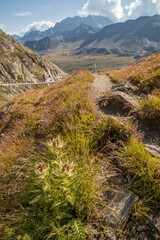 Vertical shot of the St Bernard Pass between Italy and Switzerland between the mountains