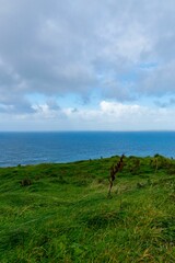 Scenic landscape of an ocean shoreline, viewed from atop a grassy hill