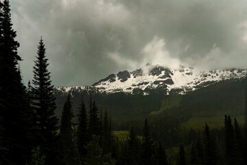Stunning shot of a majestic mountain range surrounded by lush evergreen trees