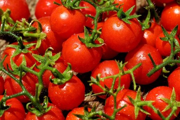 Closeup of a pile of bright red cherry tomatoes