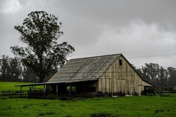 Rustic wooden barn in the middle of a green meadow, surrounded by lush vegetation