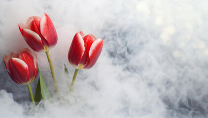 Tapeta, czerwone tulipany. Wiosna, piękne kwiaty - obrazy, fototapety, plakaty