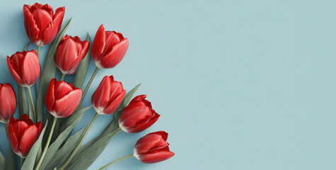 Tapeta, czerwone kwiaty tulipany. Puste miejsce na tekst - obrazy, fototapety, plakaty