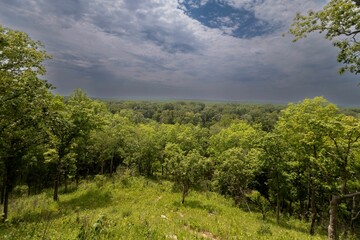 Fototapeta na wymiar Scenic view of a lush valley with tall trees on both sides in Wildcat Bluff, Illinois.