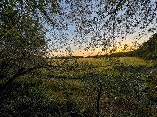 Scenic view of a green field at cloudy sunset