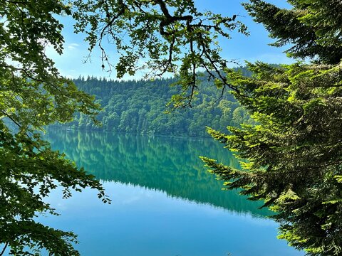 Picturesque landscape with a tranquil lake surrounded by lush green trees in Lac Pavin, France