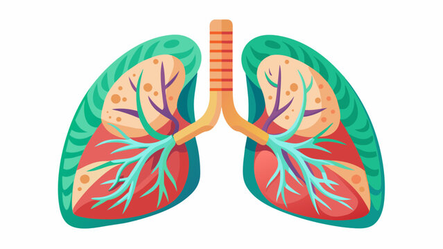  fresh human lungs and svg file