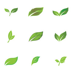 Leaf green logo and symbol vector - obrazy, fototapety, plakaty