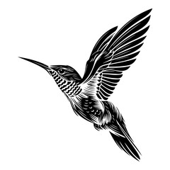 Hummingbird black silhouette linocut illustration. Black outline bird art.