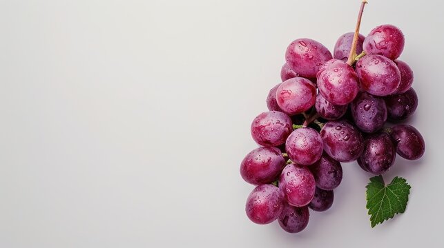 grapes white background