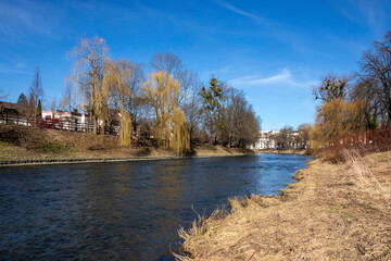 Olza River on a sunny March day