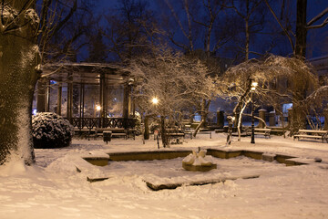 The Peace Park in Cieszyn on a winter evening