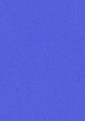 Handmade Rice Paper Texture. Royal Blue, Medium Slate Blue, Free Speech Blue Color. Seamless...