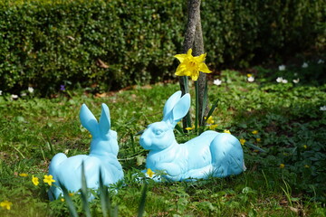 Blue bunnies in a spring meadow