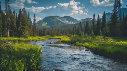 landscape with mountains, forest and a river in front. beautiful scenery