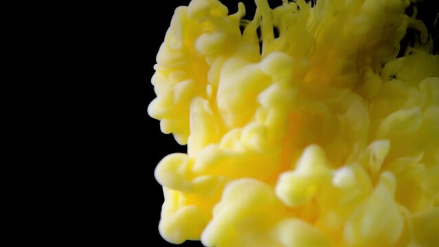 Ink in water. yellow ink drops in water and mixes, swirling softly underwater on black background. acrylic cloud paint in aquarium. abstract background, texture, 4K