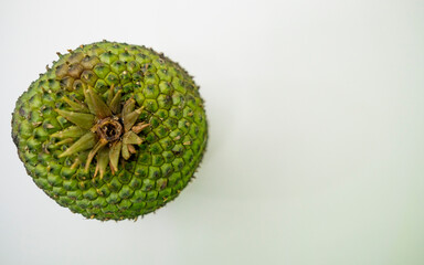 Pine nuts and pine cones natural beauty from Brazil