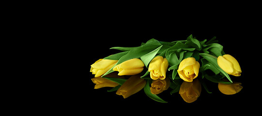 Five yellow tulips on a dark background with mirror reflection.