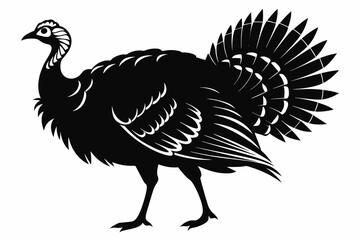 Wild turkey black silhouette with white background.