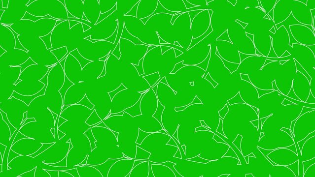 Animated linear floral background. Line white leaves on branch is drawn gradually. Concept of gardening, ecology, nature. Vector illustration isolated on green background.