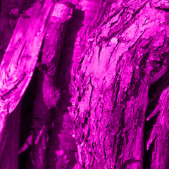 A complex abstract purple texture with black varied lines of black color