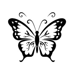 butterfly