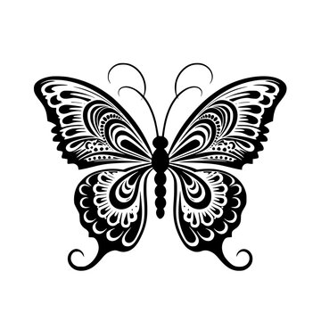 black and white butterfly