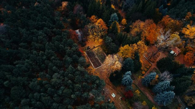 Aerial shot of a forest during autumn, with green and yellow trees.
