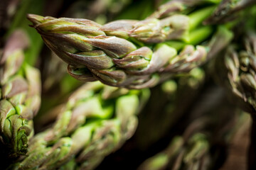green asparagus macro close up