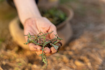 Nurturing Growth: Hands-On Gardening Essentials - 771581245