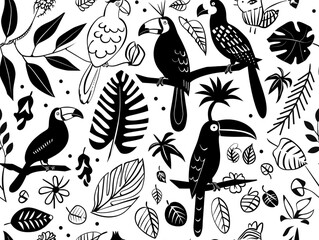 Black and white outline drawing with the theme of tropical birds. White background.
