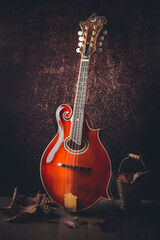 Bluegrass mandoline
