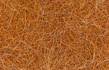 brown nature background of autumn fallen pine needles and leaves in a fall season forest. natural backdrop for concept and design