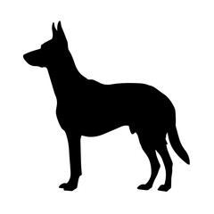 Simple black silhouette SVG of a Malinois, white background 