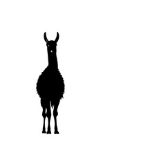 A minimalistic simple vector logo of one black lama on white background