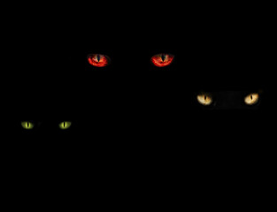 eyes of different colors of three monsters on a black background