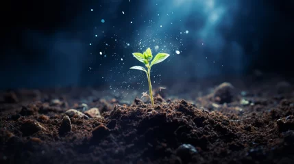 Fotobehang Sprout growing in soil, concept of new life with space above © Anuwat