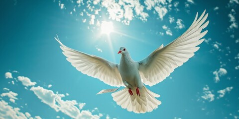 Obraz premium flying dove in blue sky