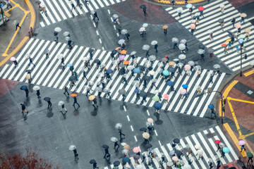 Aerial view of Shibuya Crossing on a rainy day, Tokyo, Japan
