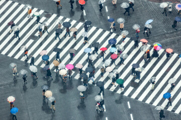 People at Shibuya Crossing on a rainy day, Tokyo, Japan