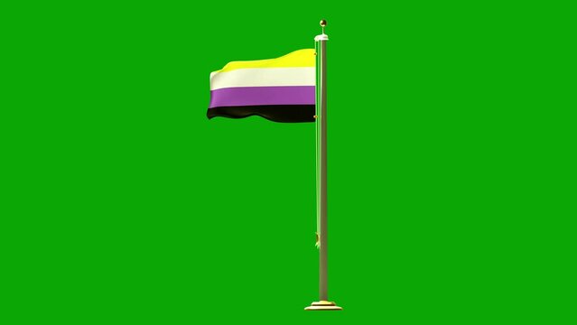 3d render of animation of a non-binary pride flag rising