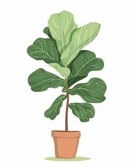 A potted plant with vibrant green leaves stands on a simple white background, showcasing its natural beauty and freshness